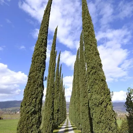 Onoria Casa vacanze Cortona